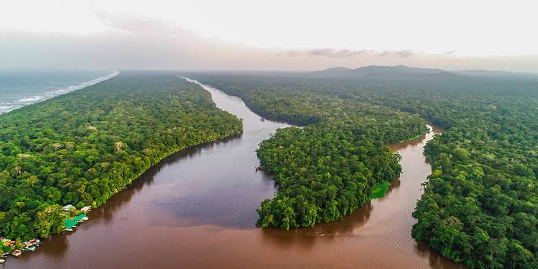 Tortuguero
