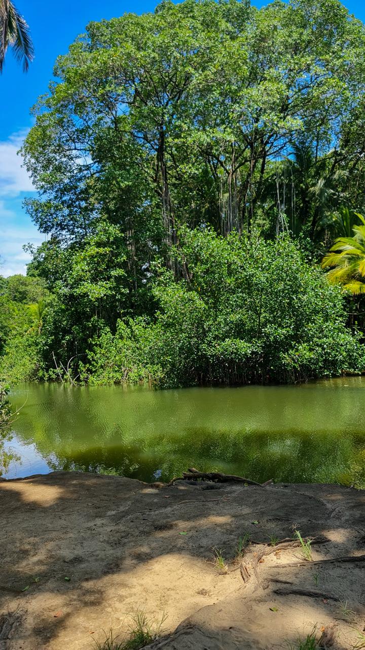 Punta Uva